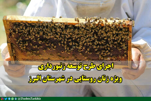 اجرای طرح توسعه زنبورداری ویژه زنان روستایی در شهرستان البرز