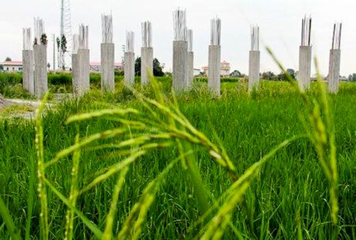 «مجوزهای پراکنده» بلای جان زمین‌های کشاورزی/ مختصات جغرافیایی اراضی مرغوب در سامانه ثبت می‌شود
