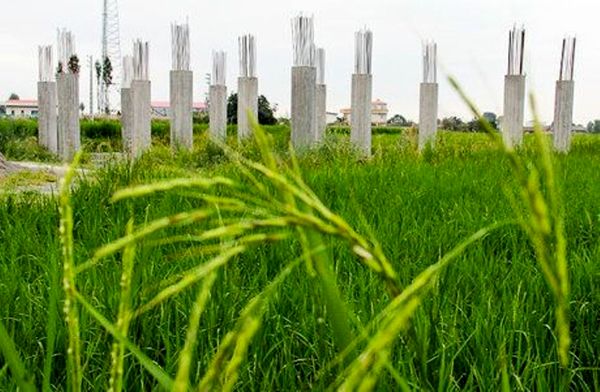 «مجوزهای پراکنده» بلای جان زمین‌های کشاورزی/ مختصات جغرافیایی اراضی مرغوب در سامانه ثبت می‌شود
