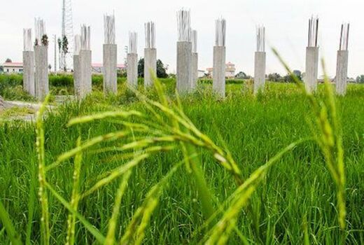 «مجوزهای پراکنده» بلای جان زمین‌های کشاورزی/ مختصات جغرافیایی اراضی مرغوب در سامانه ثبت می‌شود
