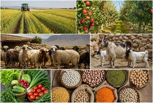 رشد ۷۴.۱ درصدی شاخص قیمت تولیدکننده در بخش زراعت و دامداری سنتی در زمستان ۱۴۰۴