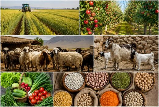 رشد ۷۴.۱ درصدی شاخص قیمت تولیدکننده در بخش زراعت و دامداری سنتی در زمستان ۱۴۰۴