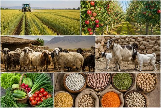 رشد ۷۴.۱ درصدی شاخص قیمت تولیدکننده در بخش زراعت و دامداری سنتی در زمستان ۱۴۰۴