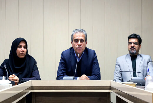 ظرفیت تولید صنایع تبدیلی و تکمیلی کشور ۹۵ میلیون تن است