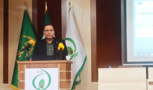 ۵۰ میلیون ایرانی و ۲۰ استان کشور درگیر پیامدهای بیابان‌زایی هستند