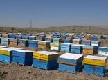 انجام طرح سرشماری زنبورستان‌ها در مهرماه