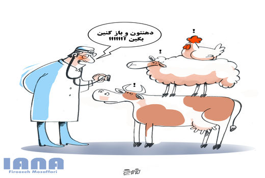 روز ملی دامپزشکی- کارتون فیروزه مظفری 