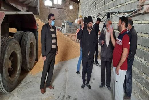 نظارت برتوزیع نهاده ها در حوزه عمل دزک