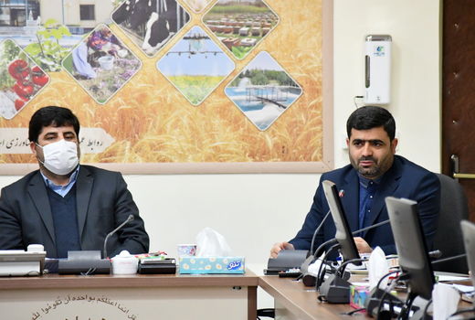 اجرای طرح جهش تولید در دیمزارهای آذربایجان شرقی با هدف تامین امنیت غذایی