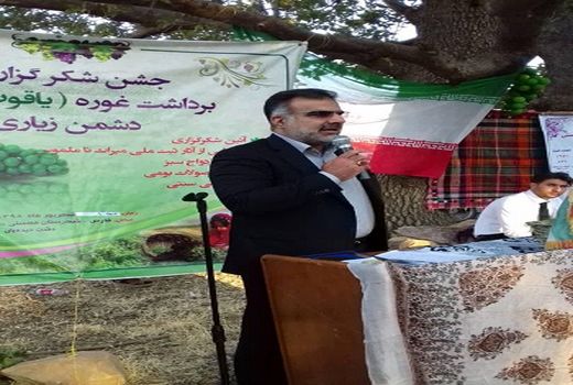 از  صنایع فرآوری انگور حمایت می‌شود