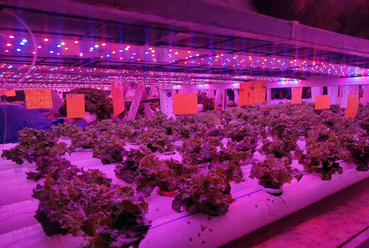  ایجاد گلخانه‌های ان اف تی برای نخستین بار در استان آذربایجان شرقی