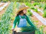 حکمرانی غذایی، نماد استقلال (1)
