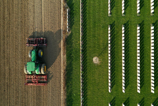 کشاورزان جدید نشاط را به کشاورزی مدرن در چین تزریق کردند