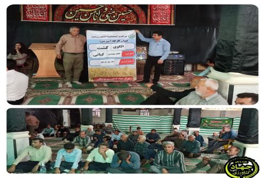 محدودیت کشت صیفی‌جات و محصولات جالیز در دشت بوشکان ابلاغ شد