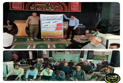 محدودیت کشت صیفی‌جات و محصولات جالیز در دشت بوشکان ابلاغ شد