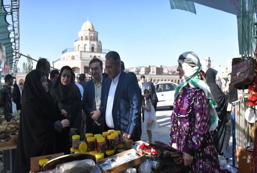 توسعه صنایع فرآوری، کلید افزایش ارزش افزوده سماق و زغال‌اخته ارسباران است