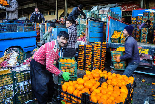 خرید توافقی پرتقال از باغداران با قیمت هر کیلوگرم ۱۵۰۰ تا ۱۷۰۰ تومان