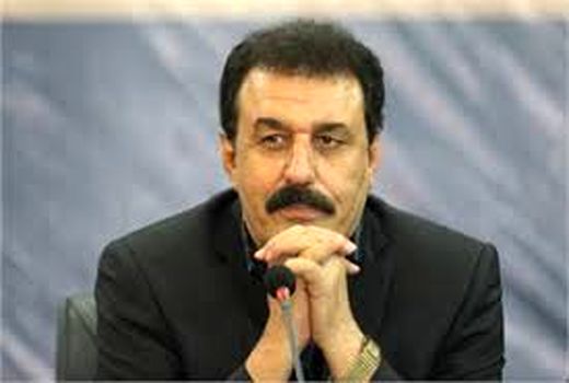 جذب 80 درصد از سهمیه بذر کلزا در استان خوزستان