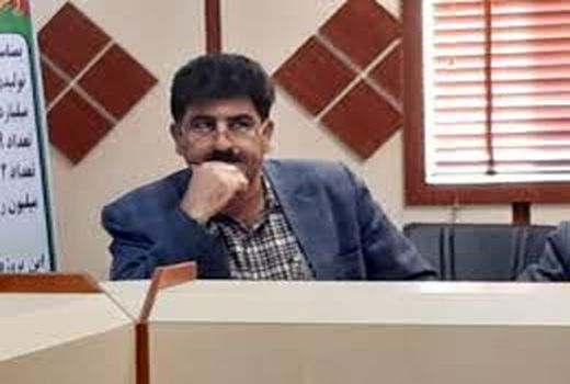 توزیع ۱۵هزار تن نهاده دامی بین مرغداران ایلام