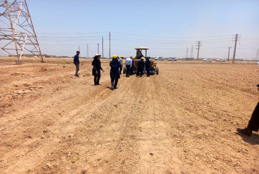 اجرای  طرح کشت برنج با دستگاه کف کار در کارون 