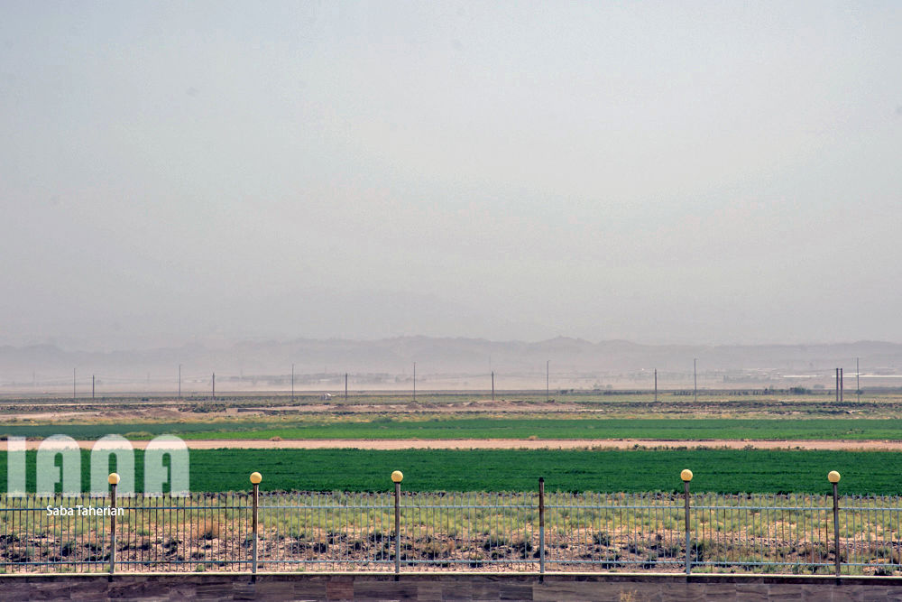 پرورش ماهی سردابی