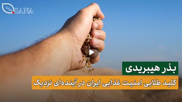 بذر هیبریدی، بذر آینده و کلید طلایی امنیت غذایی 