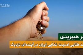 بذر هیبریدی، بذر آینده و کلید طلایی امنیت غذایی 
