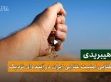 بذر هیبریدی، بذر آینده و کلید طلایی امنیت غذایی 