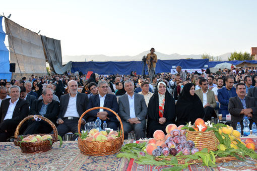 دومین جشنواره هلوی شندآباد برگزار شد