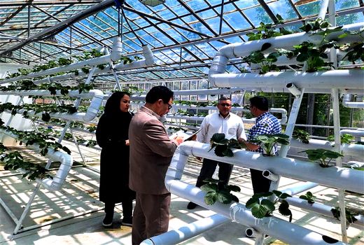 برای توسعه اقتصادی بخش کشاورزی به دانش بنیان شدن نیاز داریم