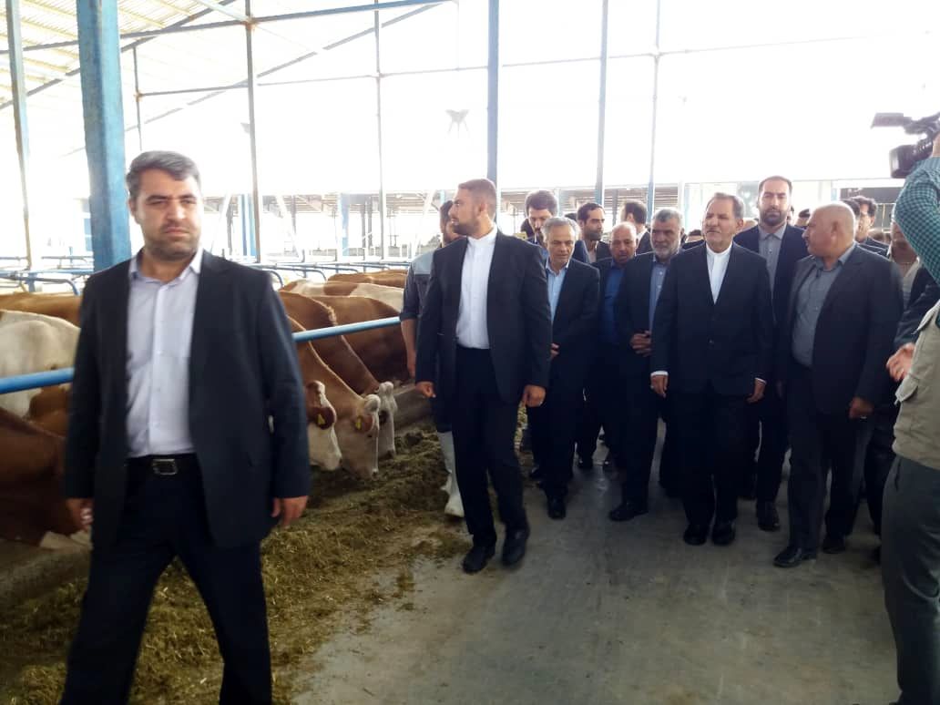 بازدید و افتتاح پروژه های کشاورزی استان خراسان رضوی توسط وزیر جهاد کشاورزی
