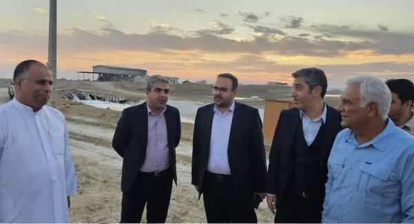 هرمزگان ظرفیت ۵۰ هزار هکتار اراضی پرورش میگو دارد