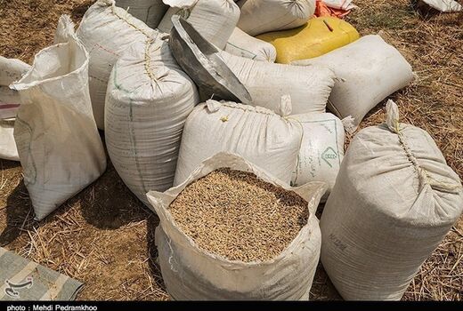 عدم قاچاق گندم در خراسان جنوبی
