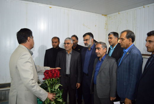 توسعه بیش از هزار هکتار سایبان در باغ های استان فارس