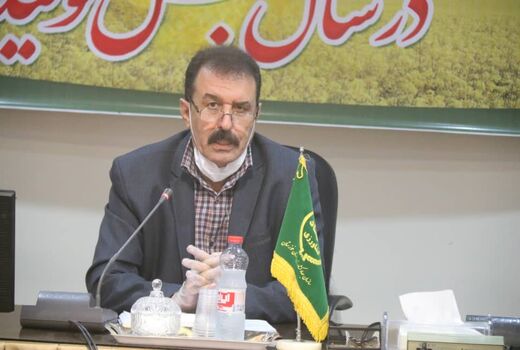 اعطای 16 میلیارد تومان یارانه به شرکت‌های تولید بذر در خوزستان