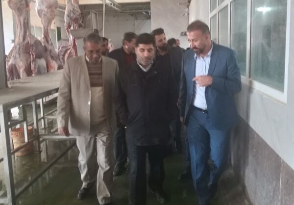 افتتاح کشتارگاه صنعتی دام سنگین در میانه