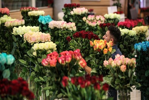 موج دوم توسعه کسب و کار گل و گیاه در سال آینده