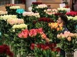 موج دوم توسعه کسب و کار گل و گیاه در سال آینده