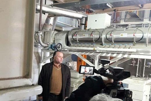 رشد 29 درصدی تولید بچه ماهی قزل الا در استان مرکزی 