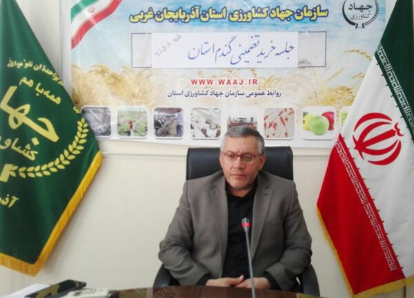 خرید تضمینی 263 هزار تن گندم مازاد بر مصرف زارعین آذربایجان غربی 
