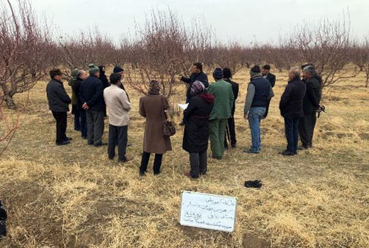 دوره های آموزشی هرس درختان میوه و پرورش زنبور عسل