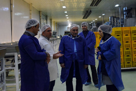 رشد30  درصدی ایجاد واحدهای صنایع تبدیلی و غذایی در آذربایجان شرقی