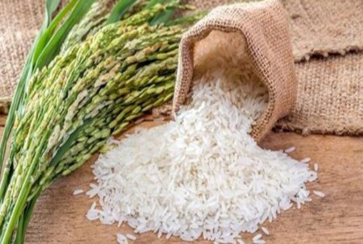 کاهش واردات برنج در راستای حمایت از تولید داخل