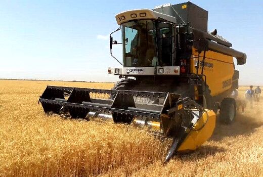 کاهش ریزش دانه های طلایی با اجرای طرح کنترل فناوری برداشت