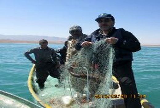 فرصت تولید آبزیان در منابع آبی استان اصفهان