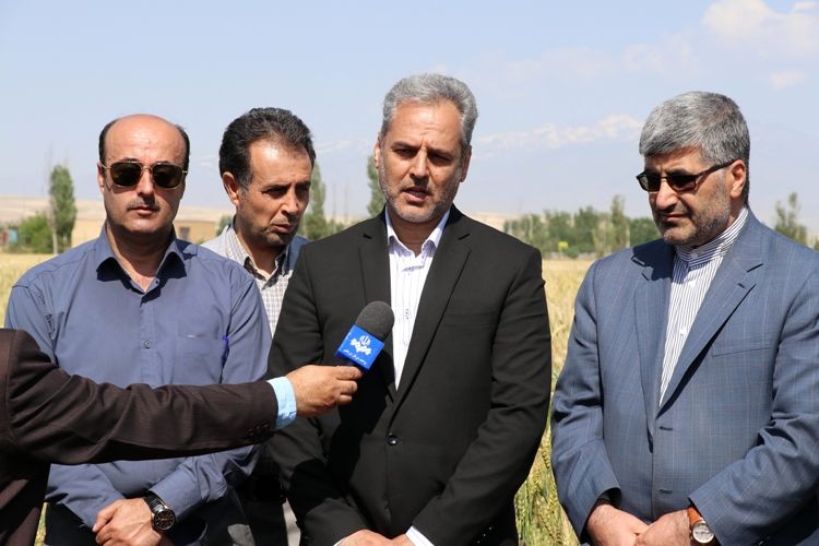 سفر دکتر خاوازی معاون وزیر جهاد کشاورزی و رئیس سازمان تحقیقات، آموزش و ترویج کشاورزی به استان اردبیل