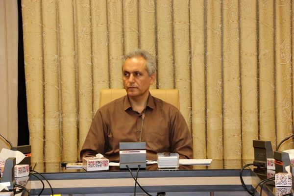 یک سال طلایی برای سطح سبز مزارع گندم کردستان