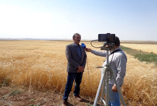 اهمیت دیم‌زارها در تأمین امنیت غذایی ایران در مواجهه با تغییرات اقلیمی