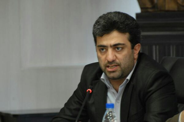 وزارت اقتصاد توان هماهنگی تیم اقتصادی دولت را ندارد