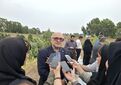 رکوردشکنی در پرورش میگو در مازندران /ظرفیت بالای صادرات با کیفیت جهانی و بازگشت سرمایه سریع
